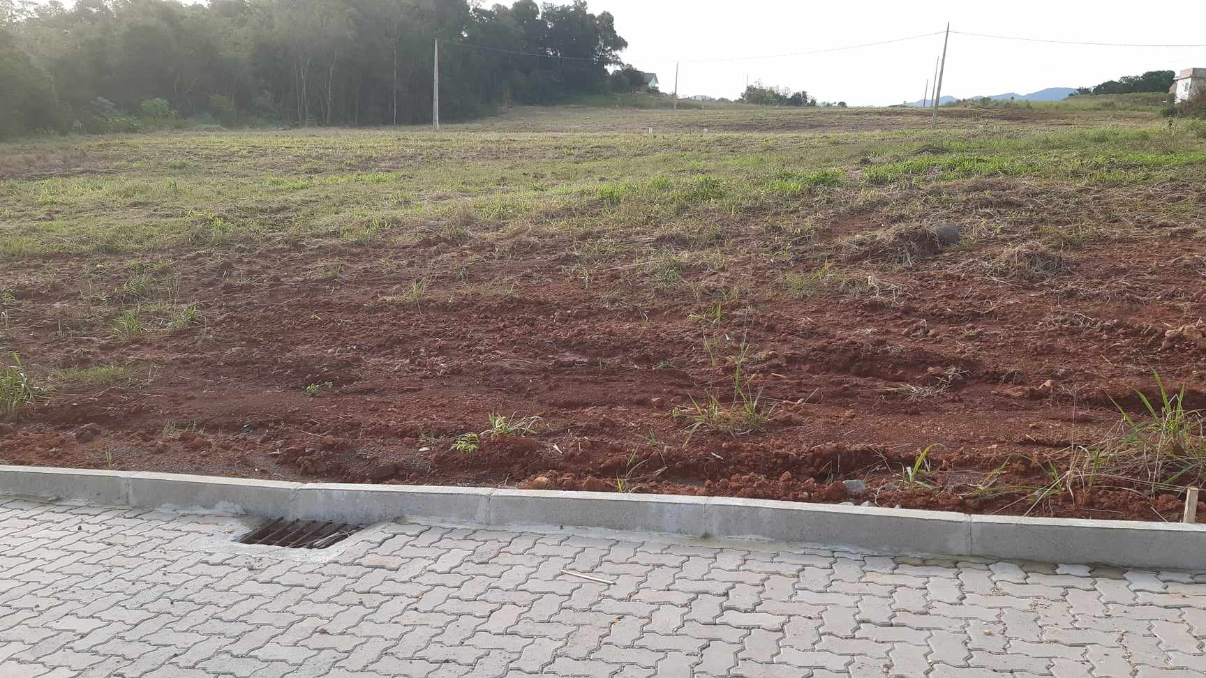 TERRENO