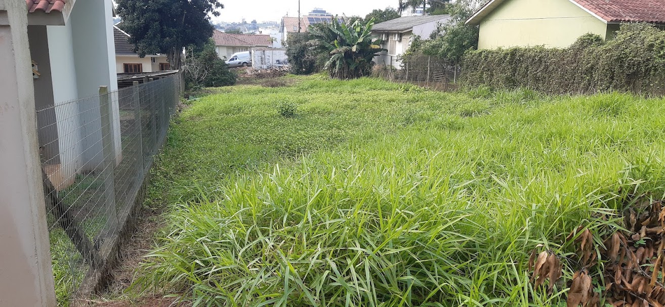TERRENO