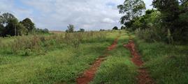 AREA DE TRRAS