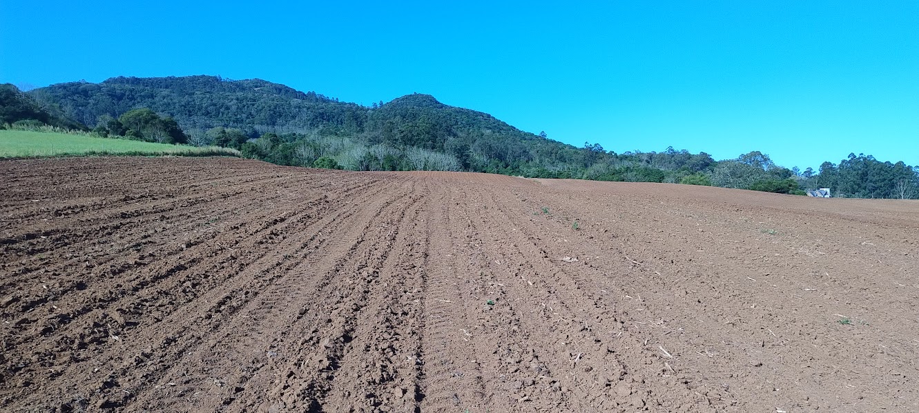 AREA DE TRRAS